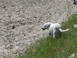 img_3500_web